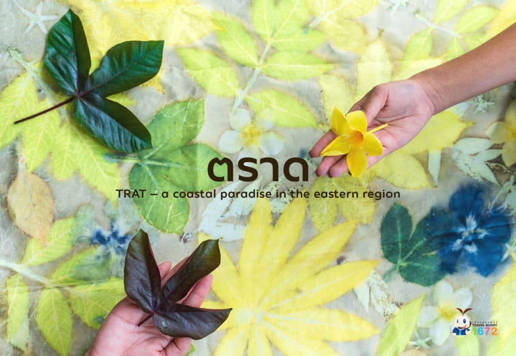 ✨ตะลุยตราด✨