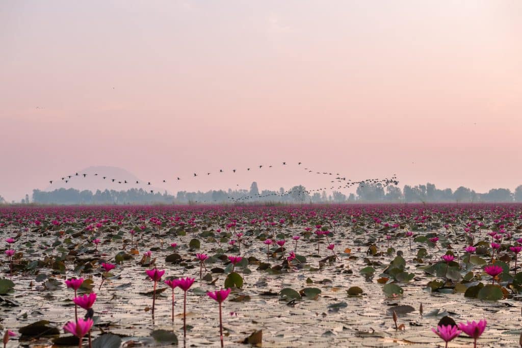 ที่เที่ยวนครสวรรค์