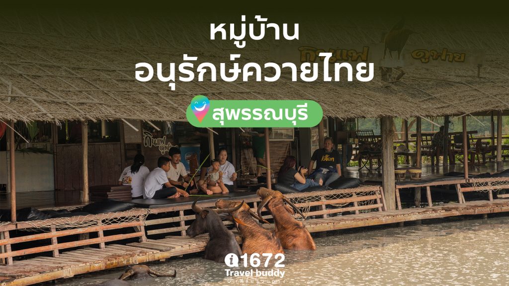 ชวนเที่ยวไทยเชิงอนุรักษ์ ที่ หมู่บ้านอนุรักษ์ควายไทย จ.สุพรรณบุรี