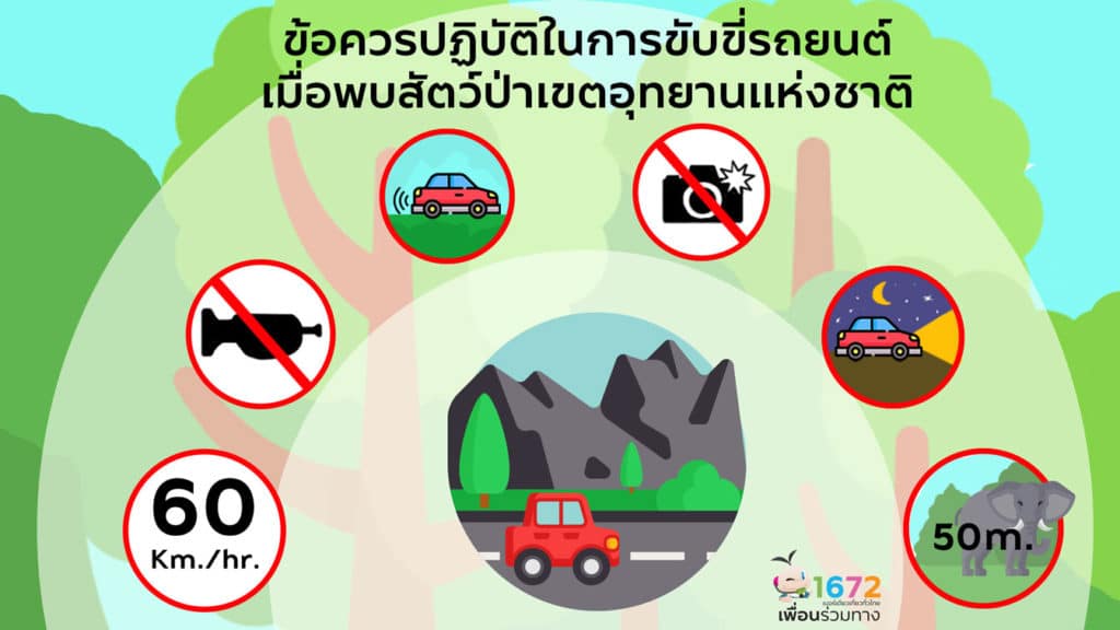 ข้อควรปฏิบัติในการขับขี่รถยนต์เมื่อพบสัตว์ป่าในเขตอุทยานแห่งชาติ