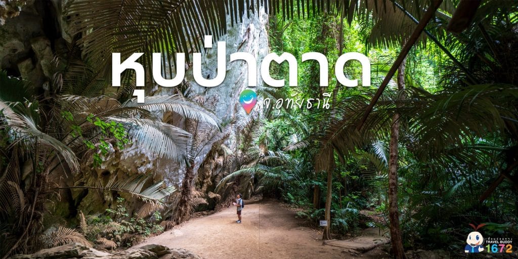 ✨ หุบป่าตาด จ.อุทัยธานี ✨