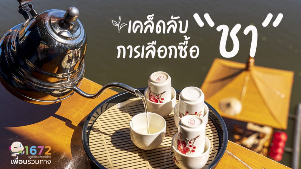 เคล็ดลับง่าย ๆ ในการเลือกซื้อชา 🍵🫖