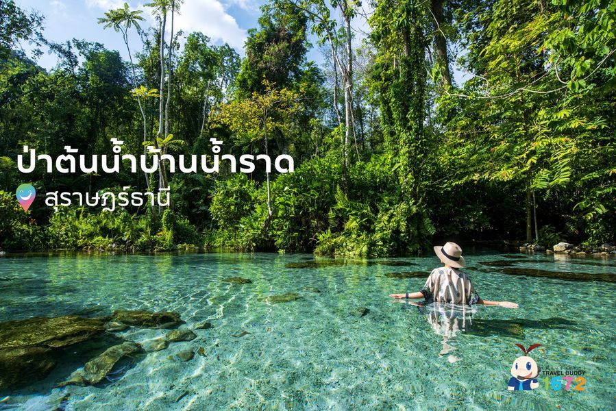 ✨ป่าต้นน้ำบ้านน้ำราด ✨