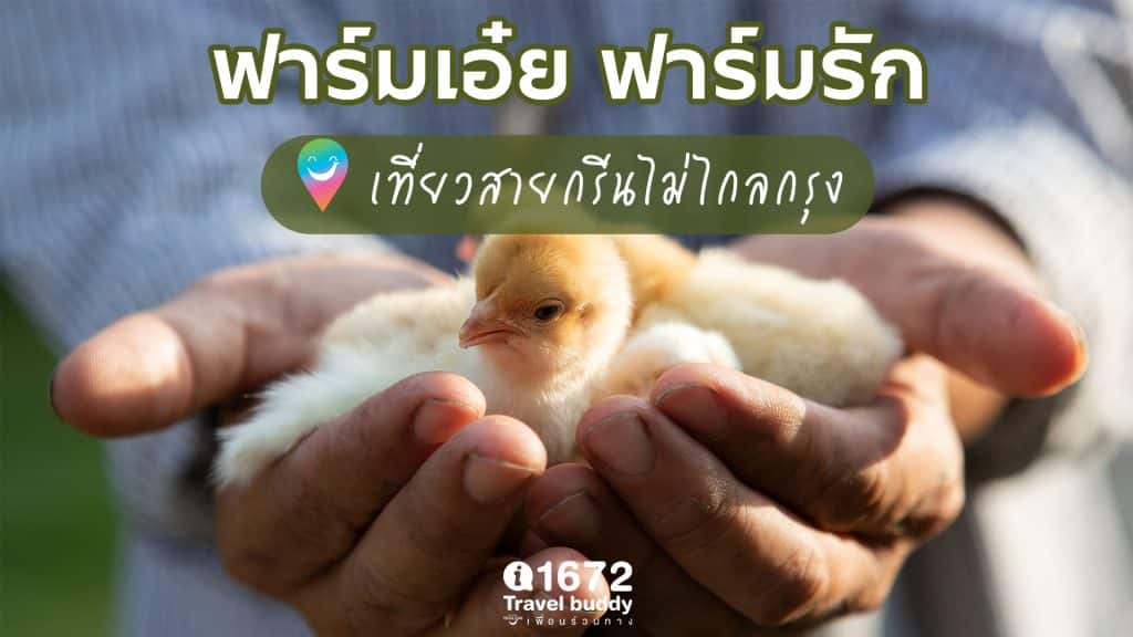 ฟาร์มเอ๋ย ฟาร์มรัก เที่ยวสายกรีนไม่ไกลกรุง