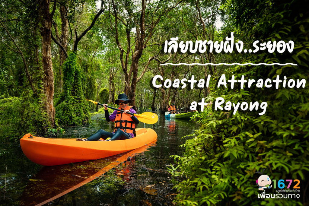 Coastal attractions – a relaxing trip to explore the green beauty of mainland Rayong