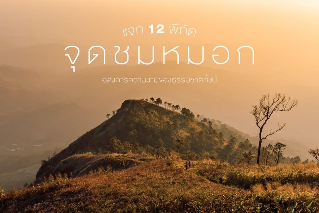 ⛅ Unseen 12 จุดชมหมอกเมืองไทย ⛅