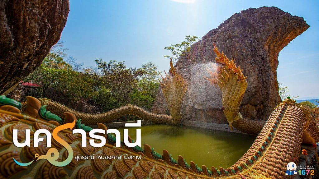 ✨ มูให้เฮง มูให้ปัง “นคราธานี” ✨