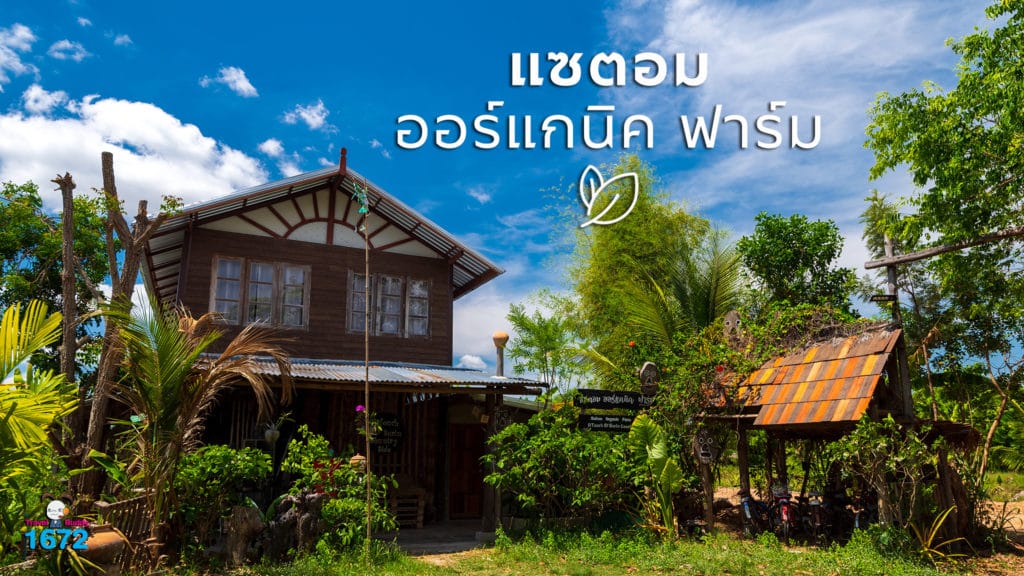 🌾 แซตอม ออร์แกนิค ฟาร์ม (Satom Organic Farm) 🌾