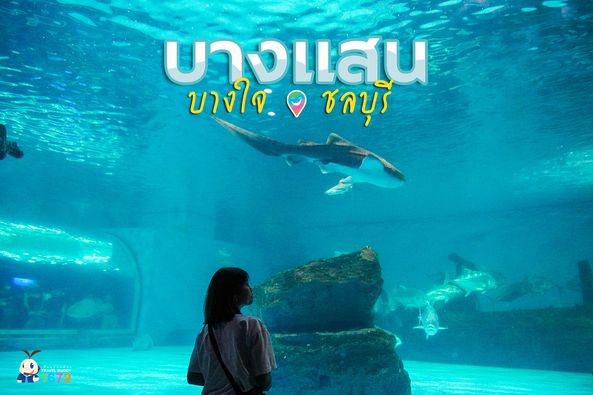 บางแสน บางใจ : ชลบุรี 🌊🌤