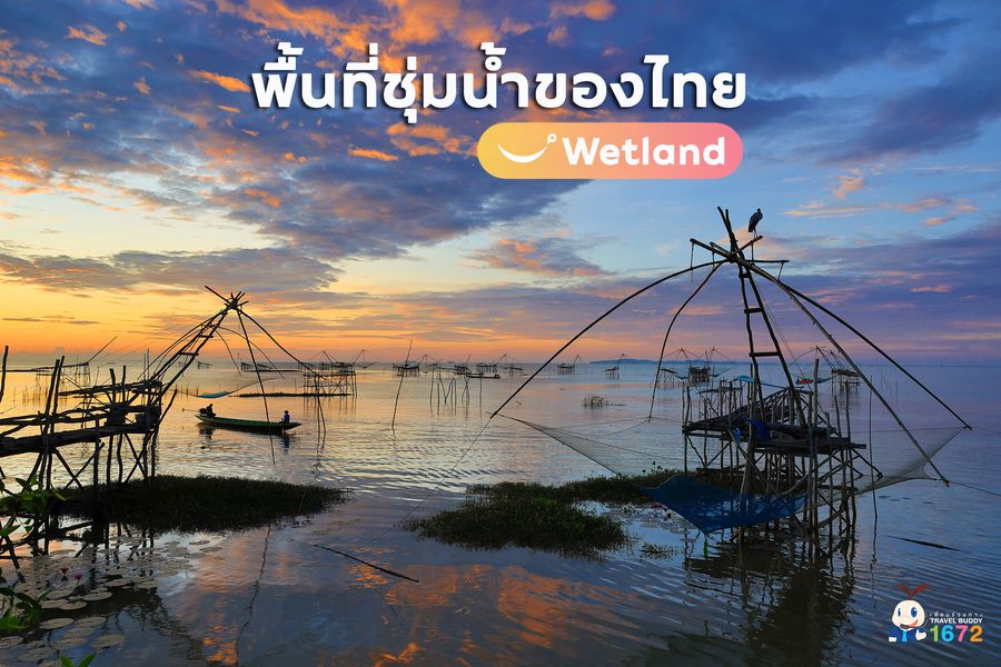 ✨ Wetland ชุ่มฉ่ำใจ ในแหล่งท่องเที่ยวพื้นที่ชุ่มน้ำของไทย ✨