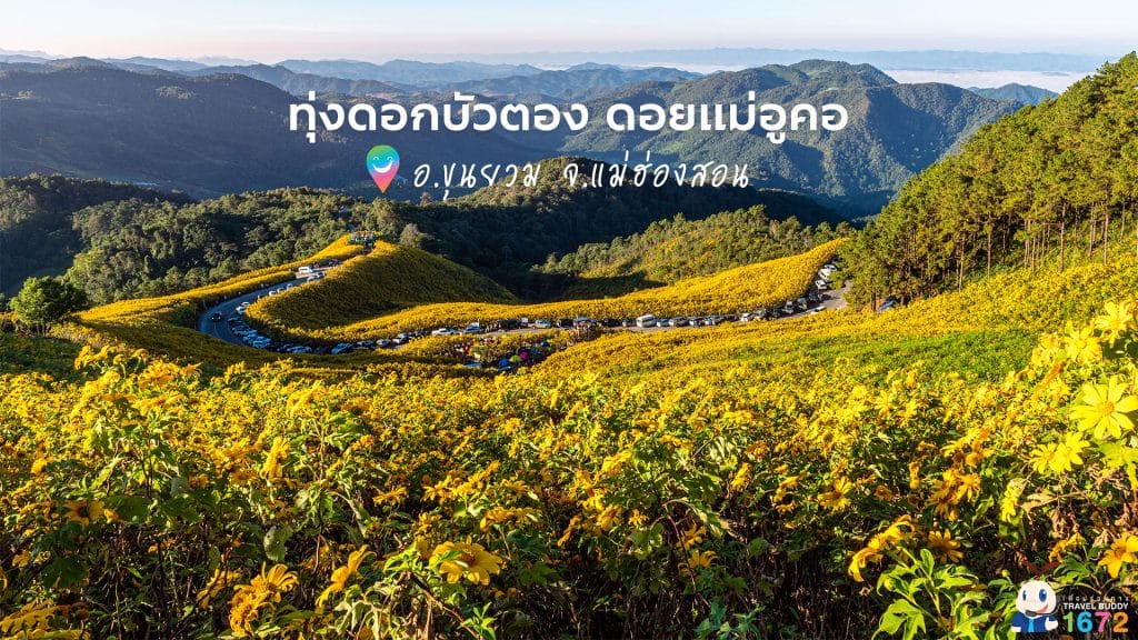 แม่ฮ่องสอน