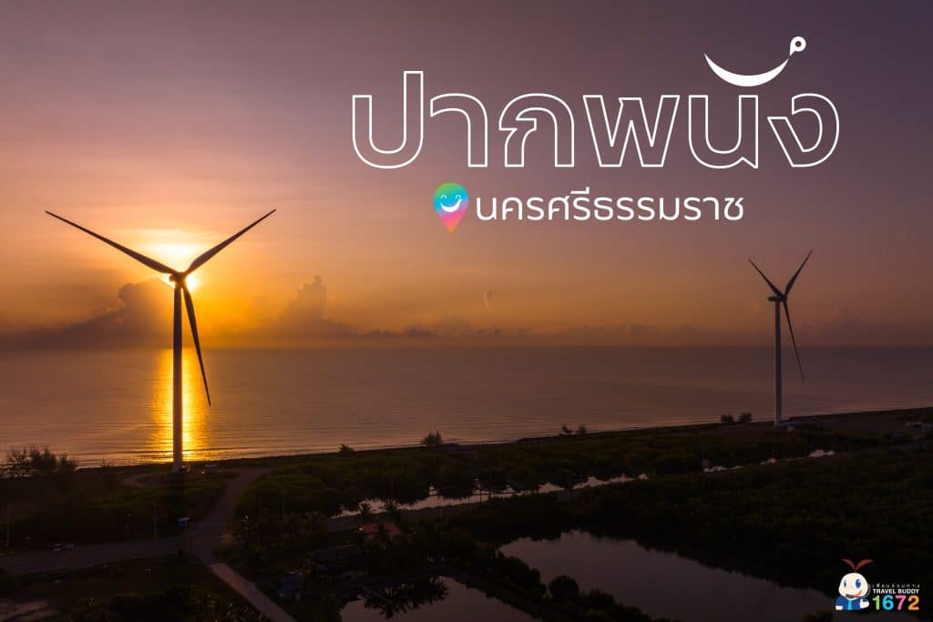 ✨ ปากพนัง : นครศรีธรรมราช ✨