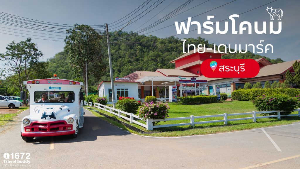 ฟาร์มโคนมไทย-เดนมาร์ค สระบุรี สัมผัสธรรมชาติ เรียนรู้ชีวิตโคนม ใกล้กรุงเทพฯ แค่เอื้อม!