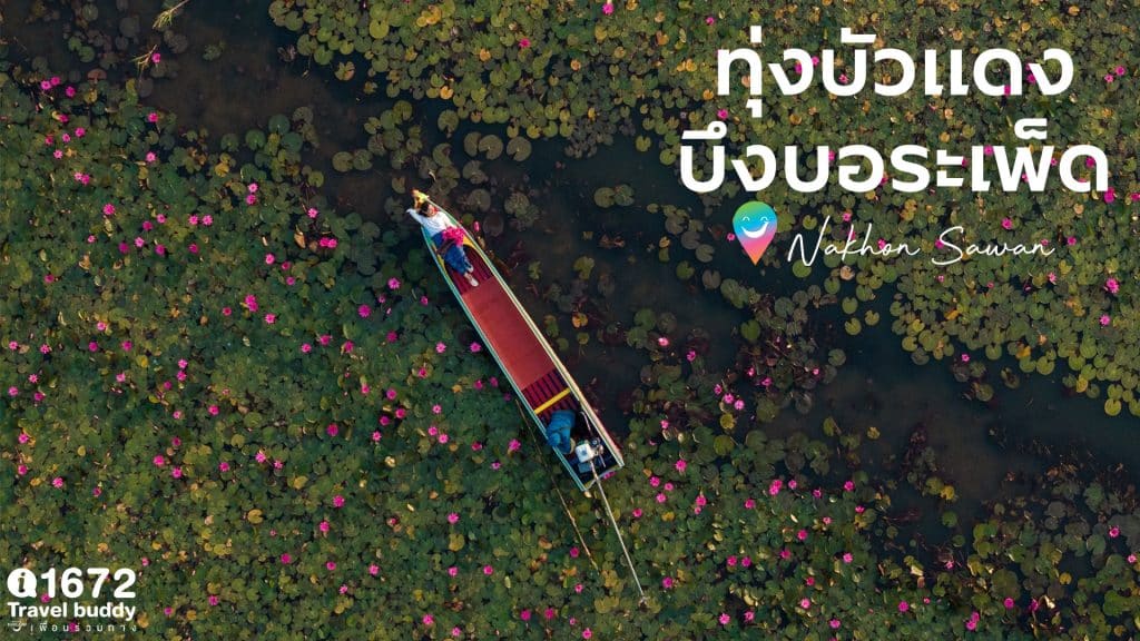 ชวนเช็กอินถ่ายรูปสวย ๆ ที่ ทุ่งบัวแดงบึงบอระเพ็ด จ.นครสวรรค์