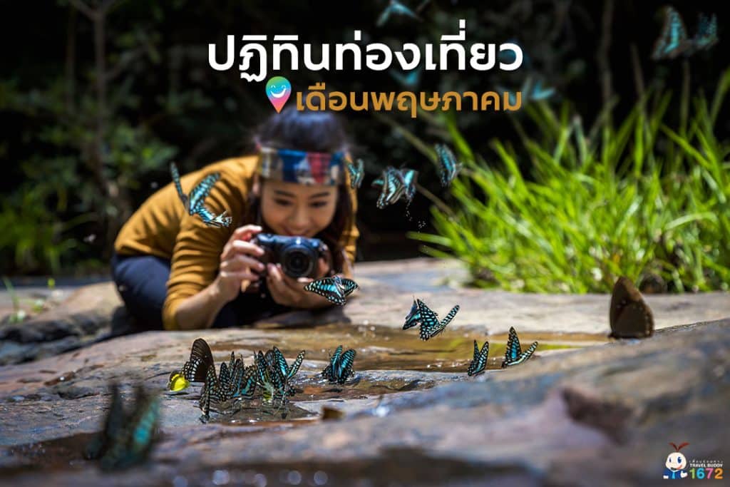 ✨ ปฏิทินท่องเที่ยวเดือนพฤษภาคม ✨