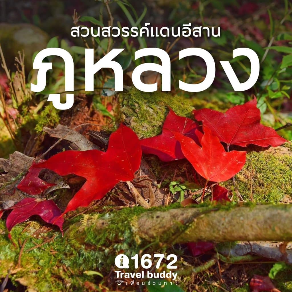 ภูหลวง … สวนสวรรค์แดนอีสาน