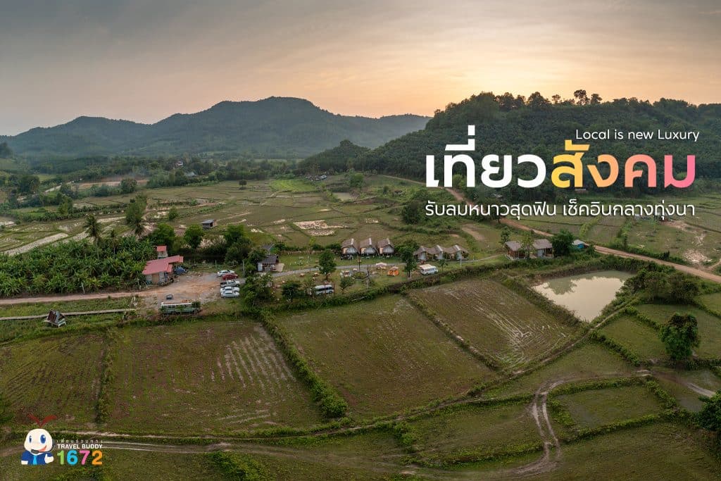 เที่ยวสังคม รับลมหนาวสุดฟิน เช็คอินกลางทุ่งนา 🌾