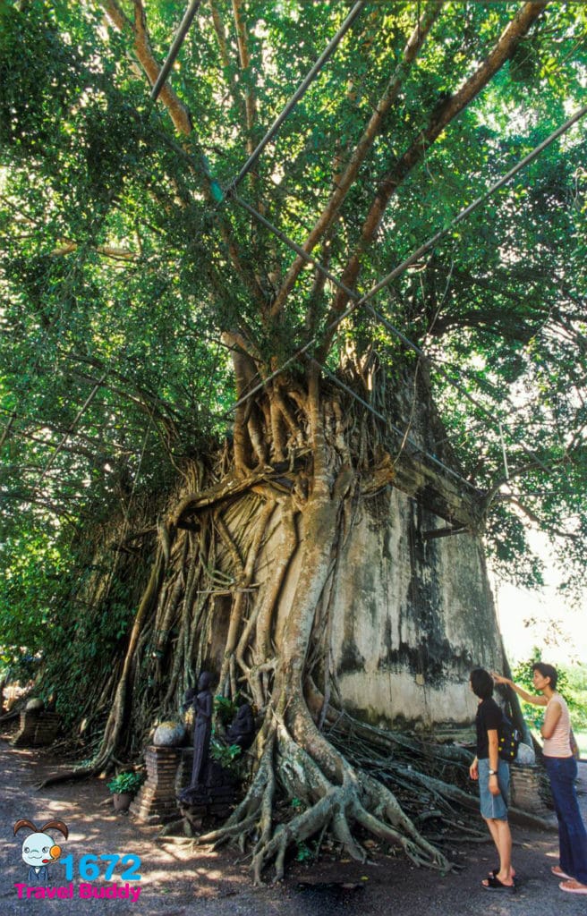 สมุทรสงคราม