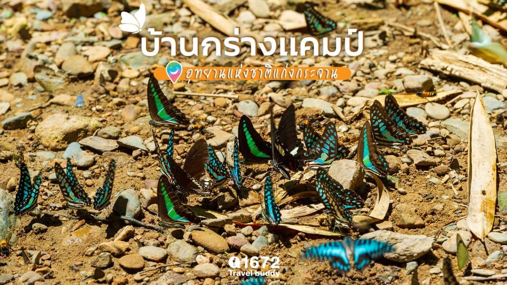 บ้านกร่างแคมป์ อุทยานแห่งชาติแก่งกระจาน