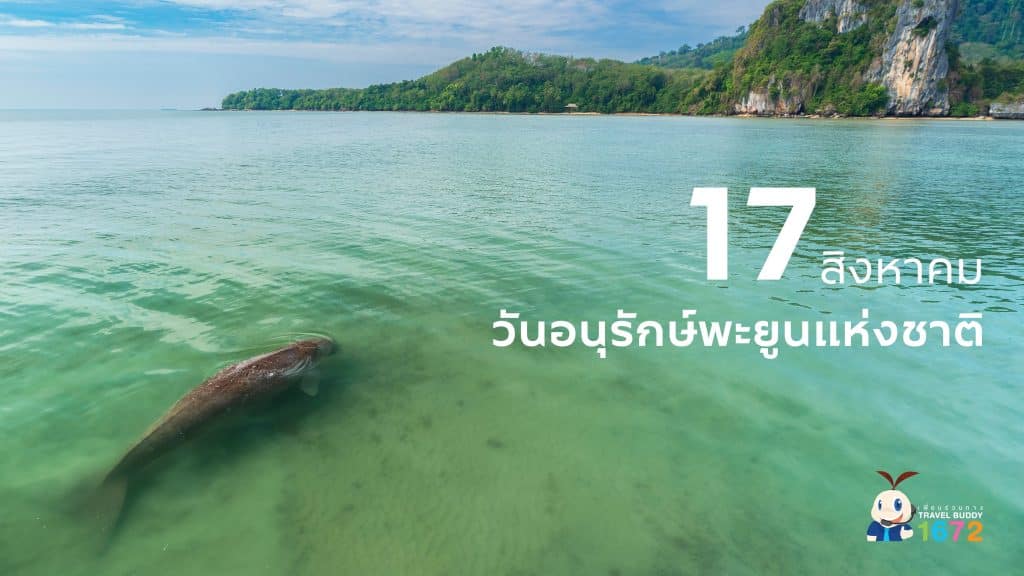 ✨ 17 สิงหาคม “วันอนุรักษ์พะยูนแห่งชาติ” ✨