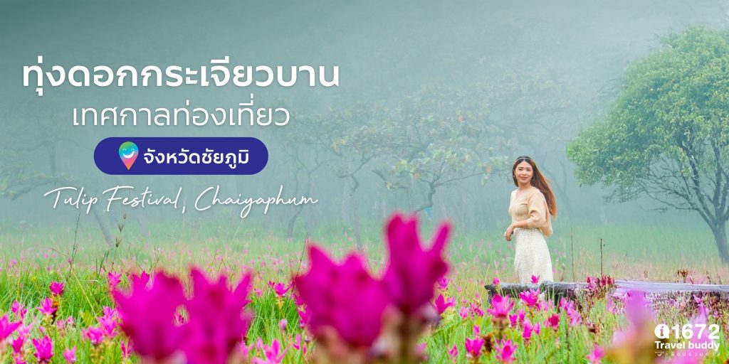 เปิดแล้ว!! เทศกาลท่องเที่ยวทุ่งดอกกระเจียวบาน จังหวัดชัยภูมิ