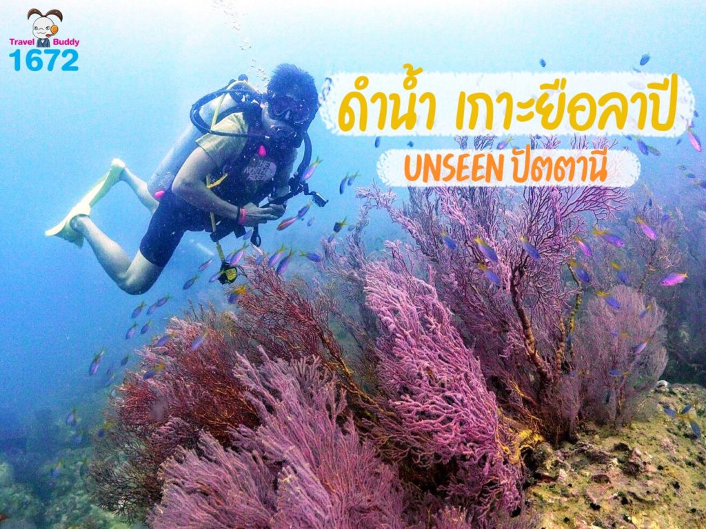 ดำน้ำเกาะยือลาปี Unseen ปัตตานี