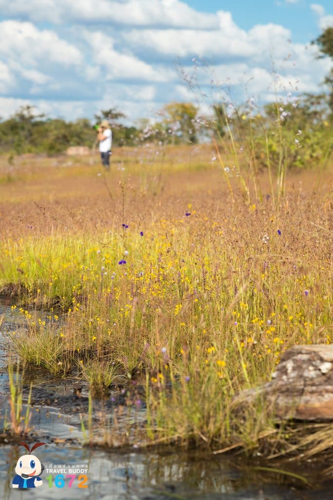 ที่เที่ยวอุบลราชธานี