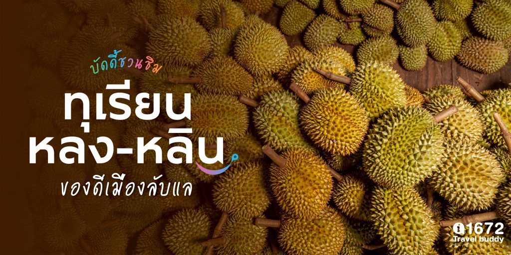 บัดดี้ชวนชิม “ทุเรียนหลง-หลิน” เมืองลับแล